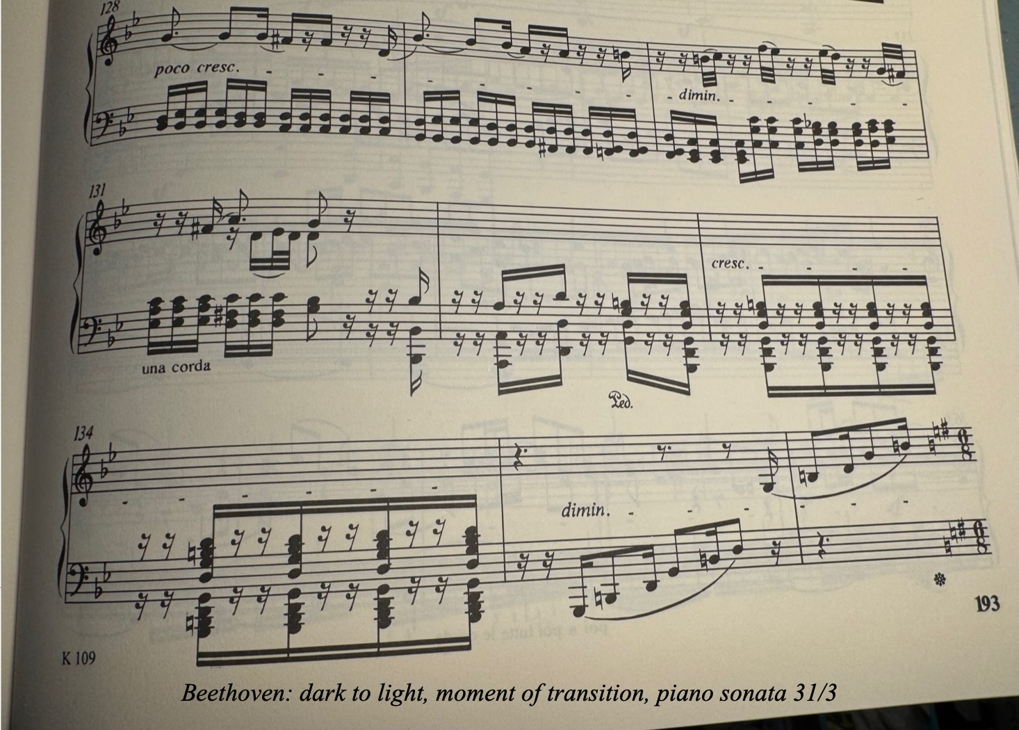 Beethoven-31.3