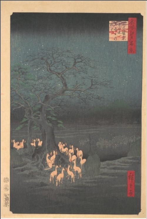 hiroshige-firefoxes-2024